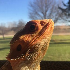 Meet your Posher, March